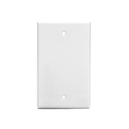 Keystone / Wall Plate: SAE-WP0