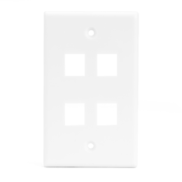 Keystone / Wall Plate: SAE-WP4